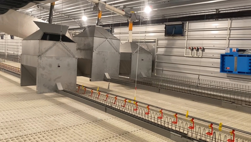 Feeding Systems