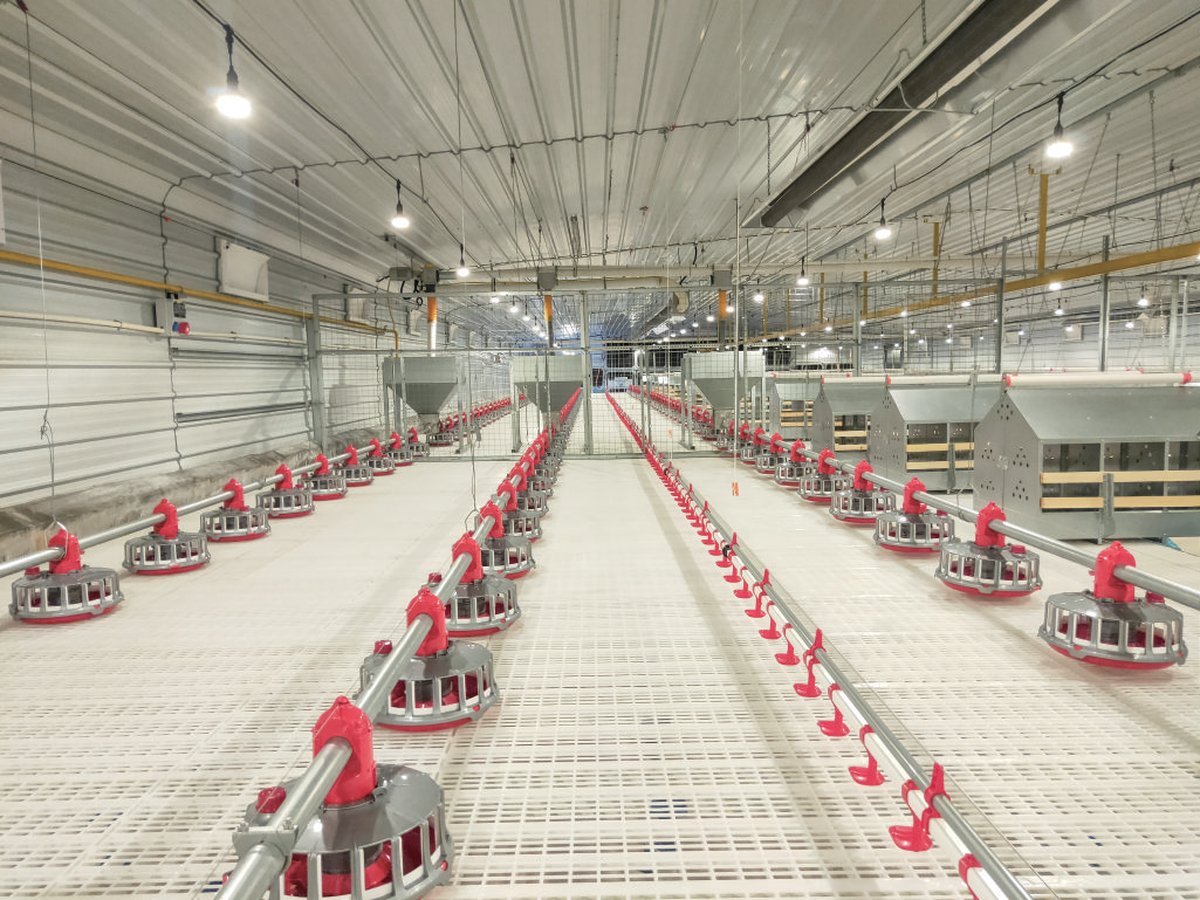 Breeder Equipment Catalog preview