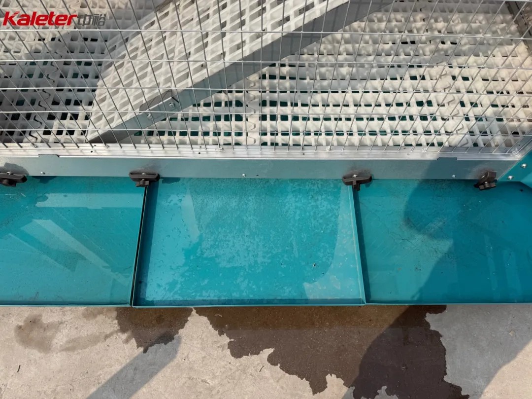 Slide-out manure collection tray underneath the slatted flooring