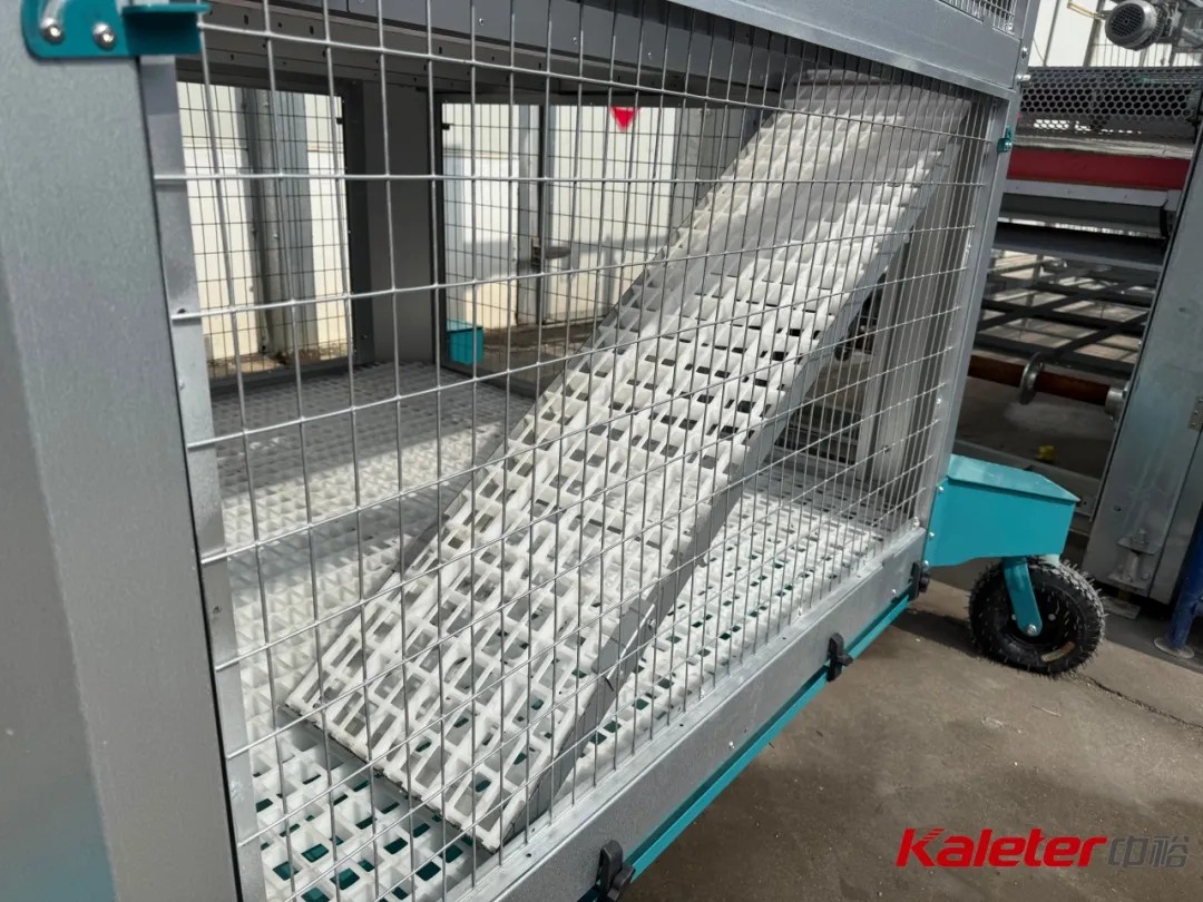 Interior view of the two-level mobile chicken house showing the ladder connecting the upper and lower levels