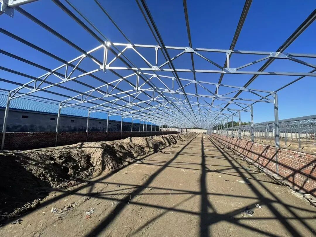 Galvanized steel roof trusses of a new breeder house under construction