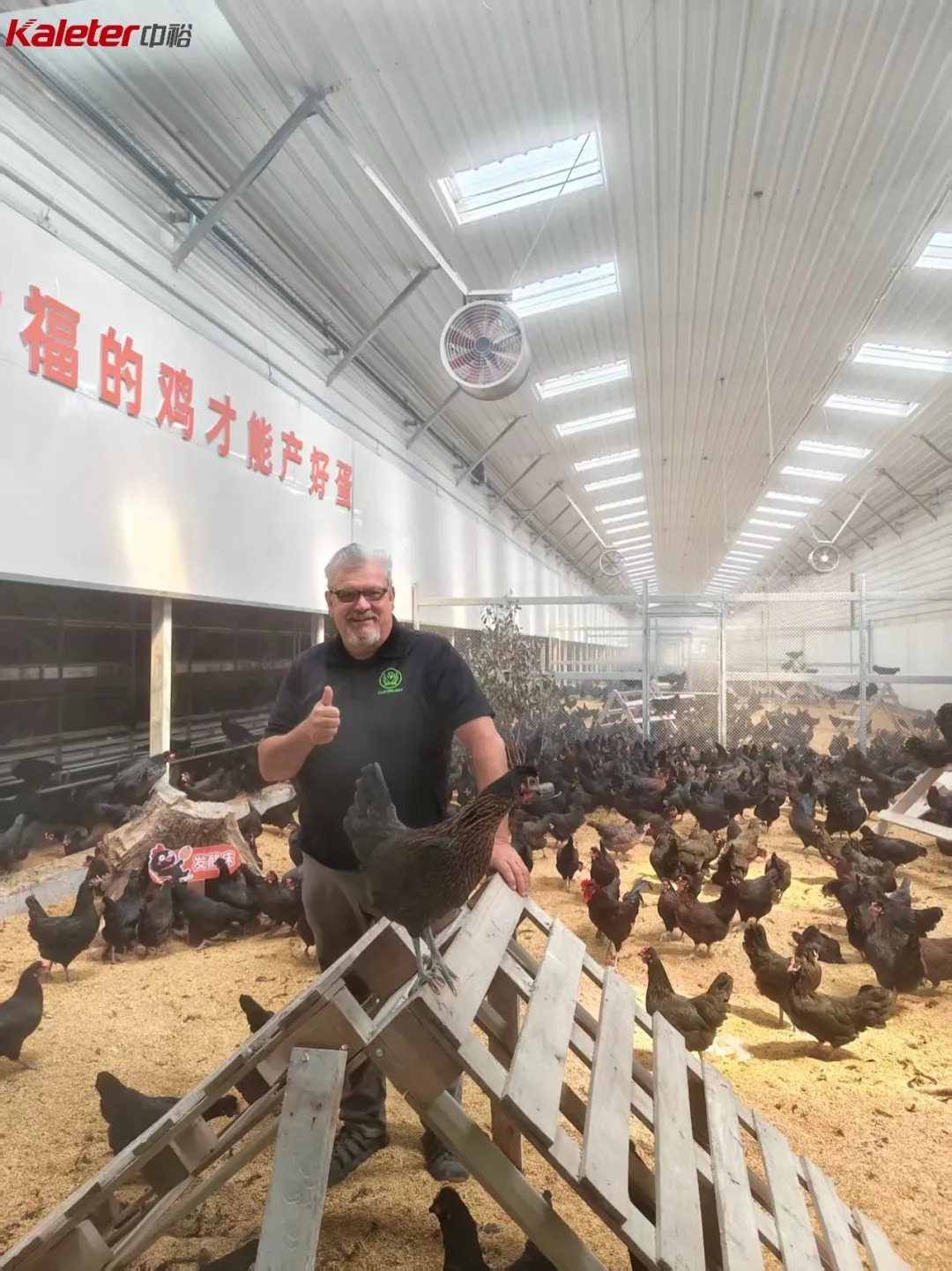 CloverLeaf auditor giving a thumbs up inside a Kaleter cage-free layer house with hens roaming freely