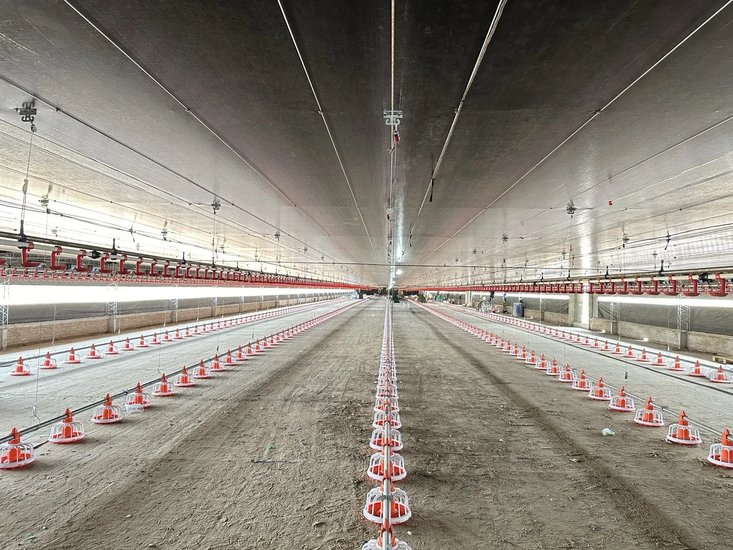 Broiler house floor-rearing system with pan feed lines