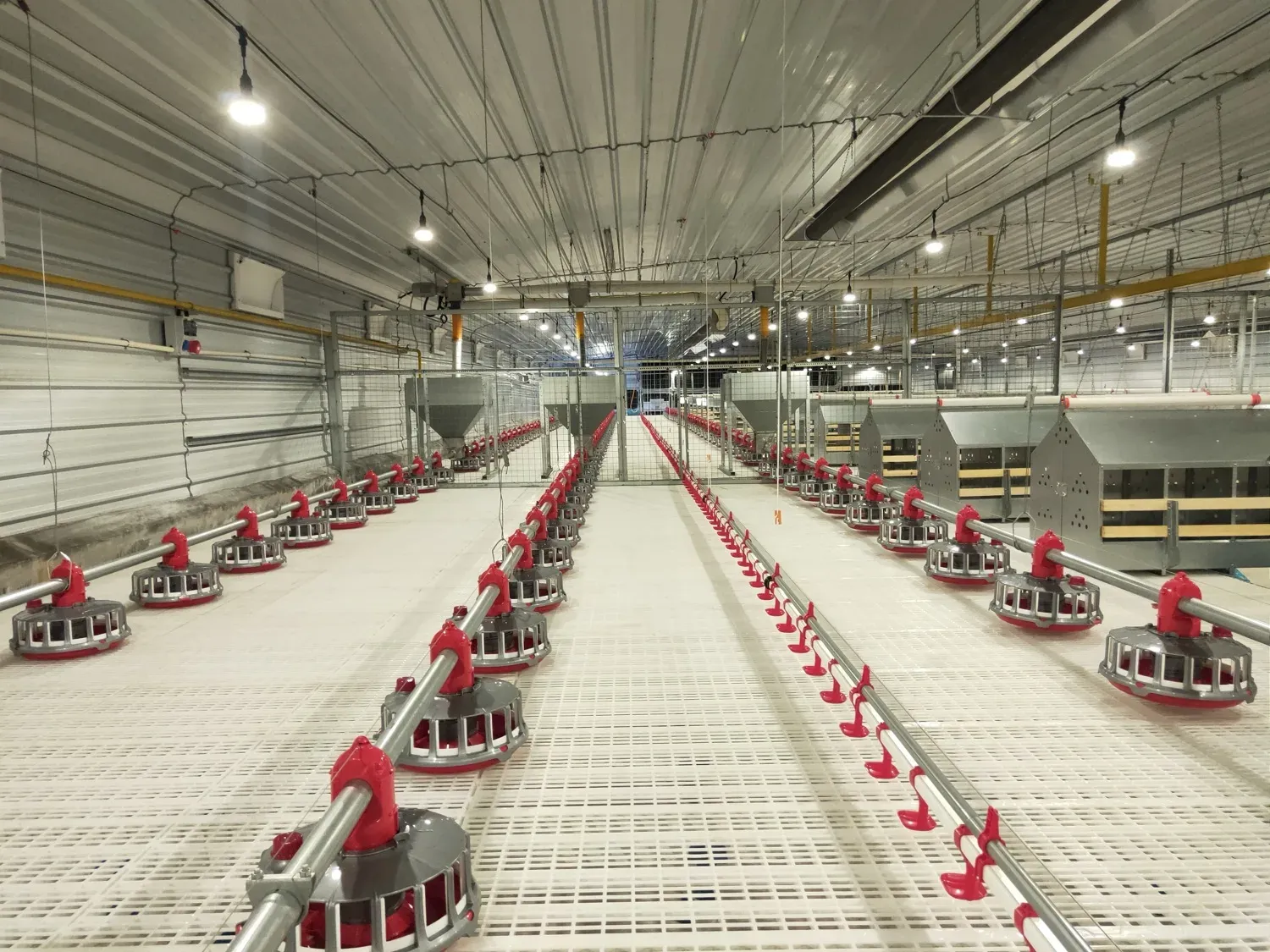 Feeding Systems