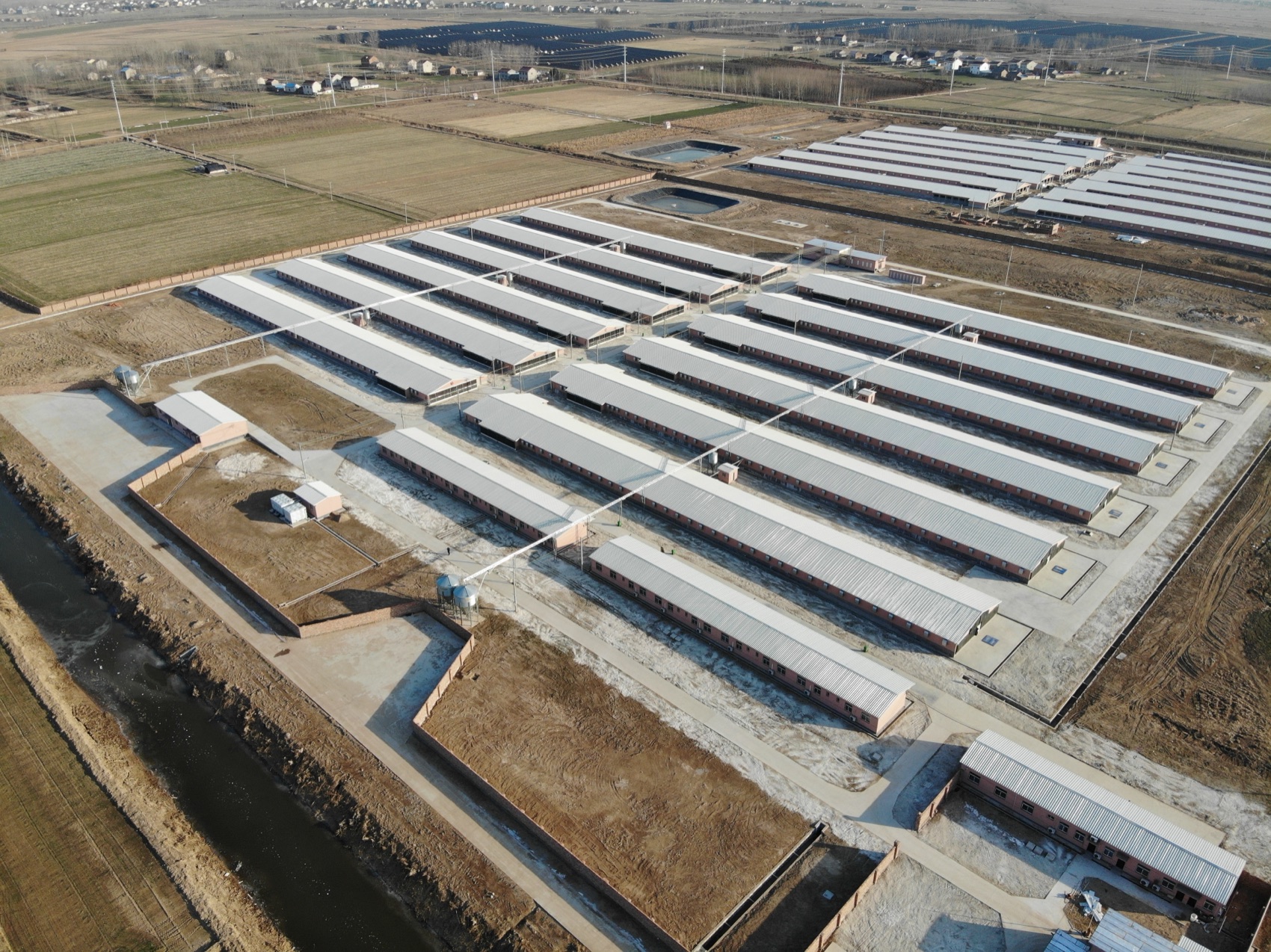 Ten-house broiler site laid out in parallel rows