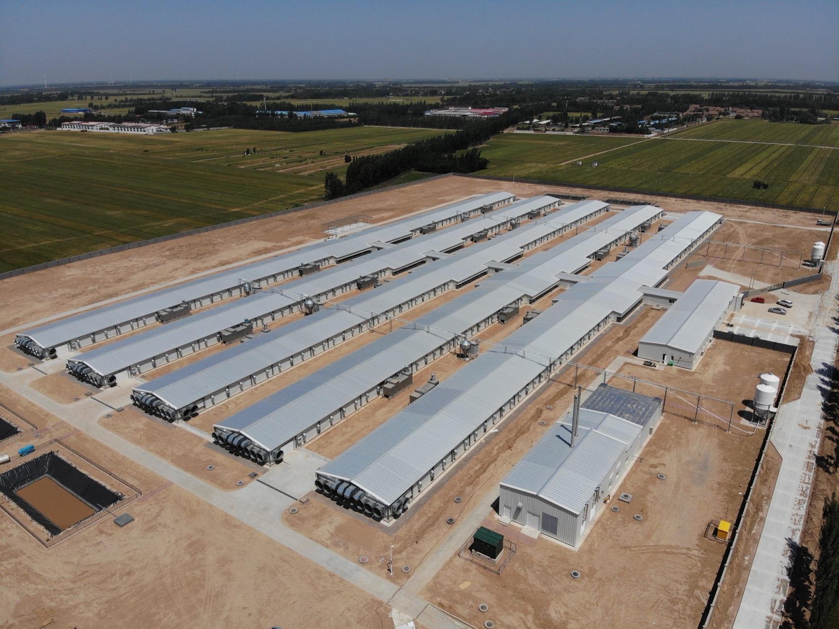 Grow-out complex with end-wall tunnel fans, ready for placement