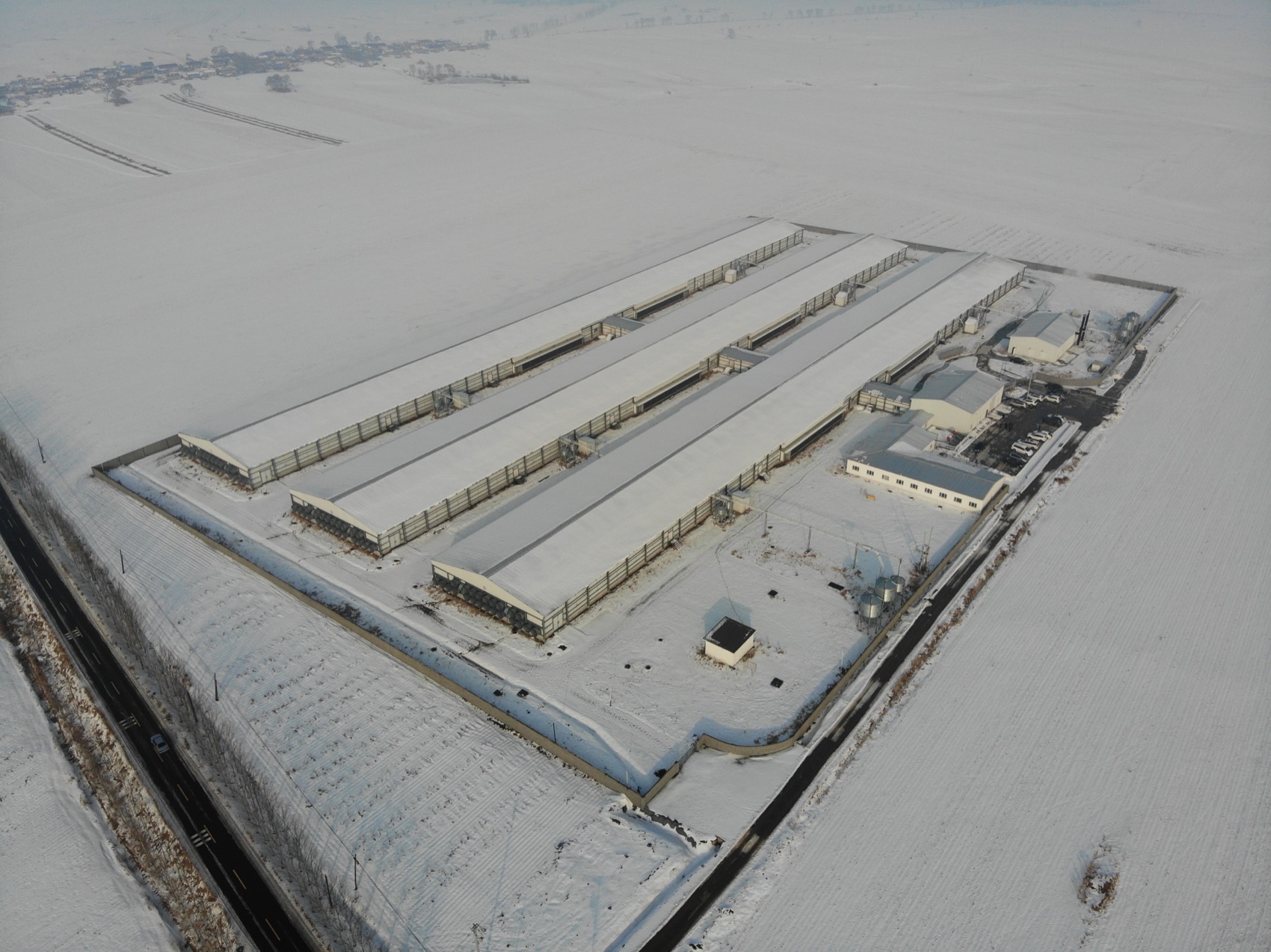 Snow-covered site with four long houses