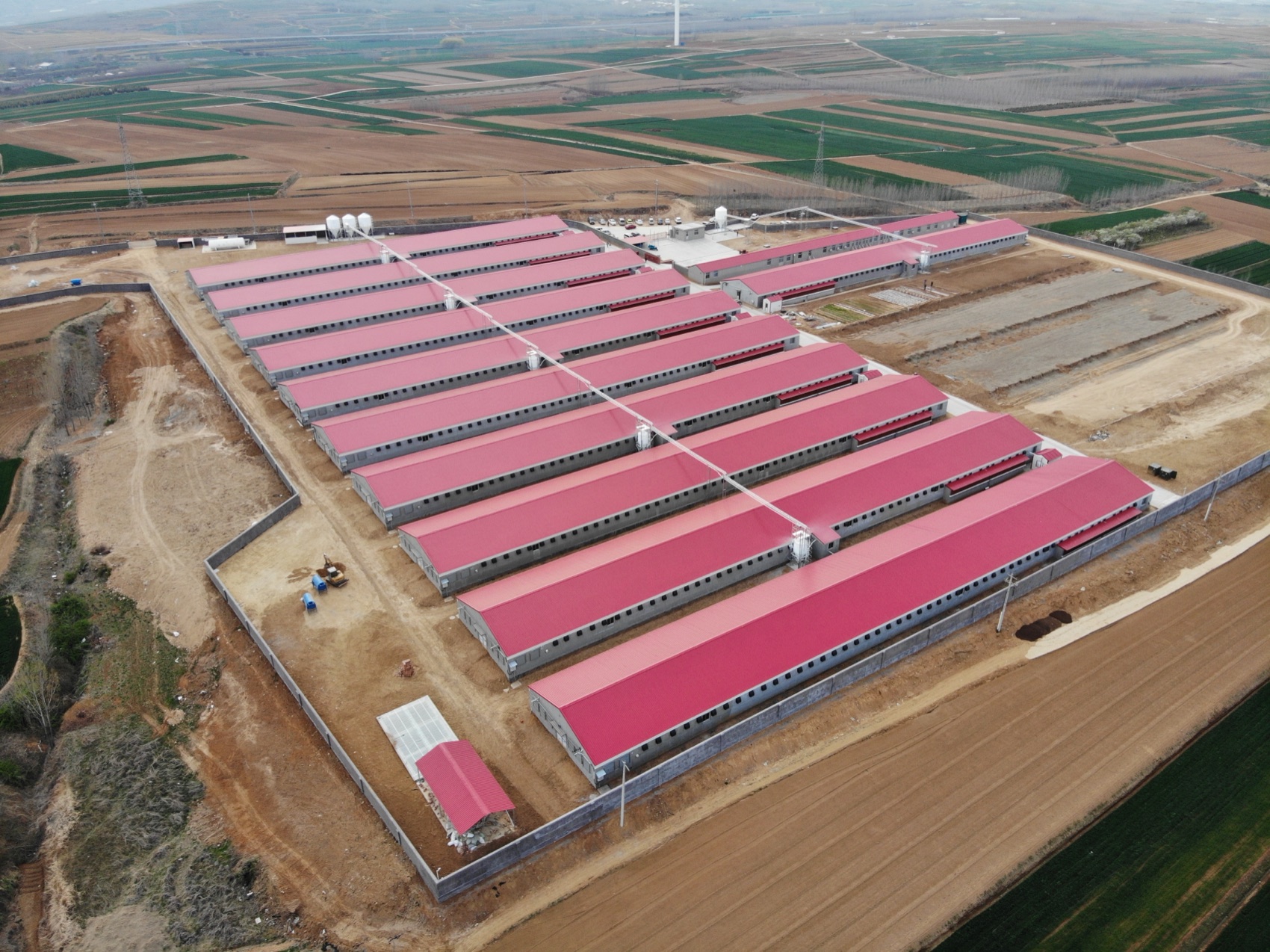 Large breeder complex with red-roofed houses